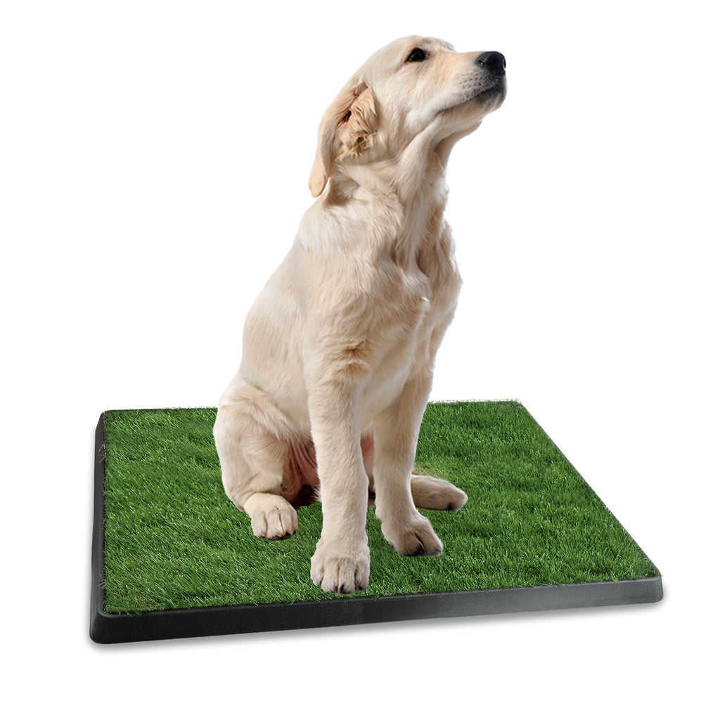1Pc Dog Potty Training Artificial Grass Pad Pet Cat Toilet Trainer Mat Puppy Loo Tray Turf For Small Medium Dogs Indoor Outdoor Use