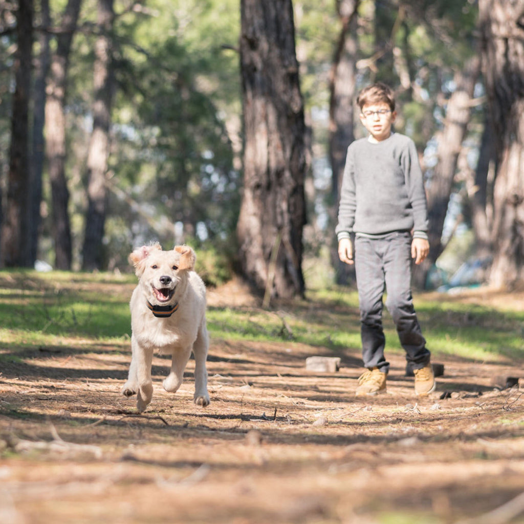 2 In 1 Dog GPS Fence Tracker Wireless GPS Dog Fence GPS Dog Collar With 32-2887FT Radius IPX6 Waterproof For Small Medium Large Dogs