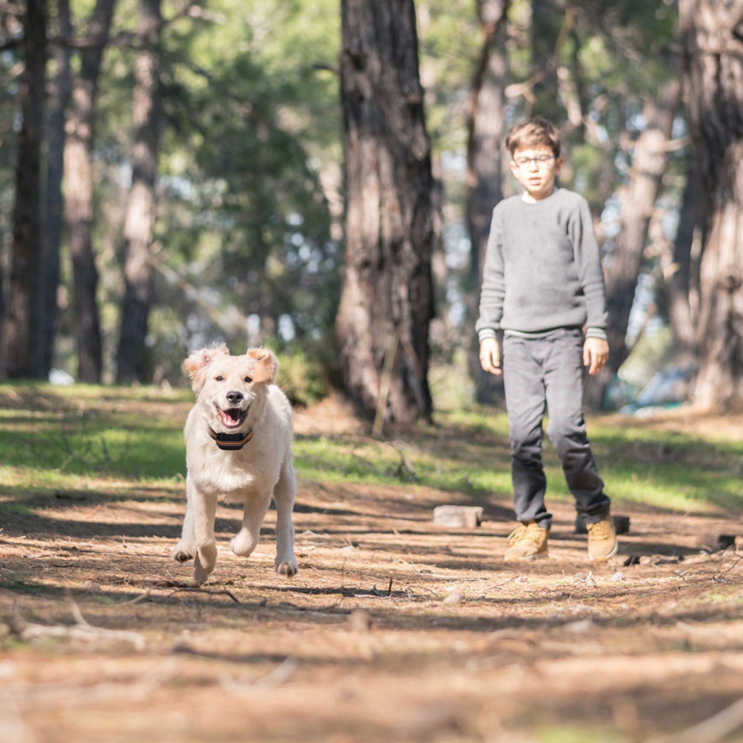 2 In 1 Dog GPS Fence Tracker Wireless GPS Dog Fence GPS Dog Collar With 32-2887FT Radius IPX6 Waterproof For Small Medium Large Dogs